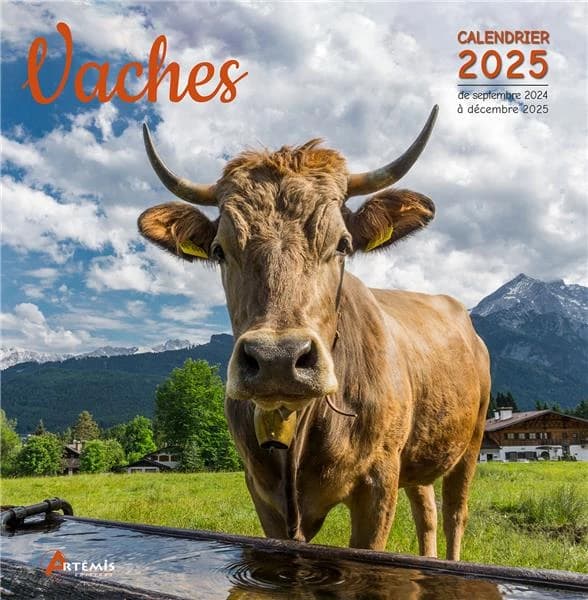 Vaches : Calendrier de septembre 2024 à décembre 2025