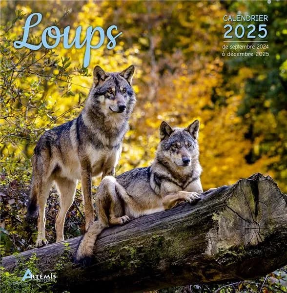 Loups (édition 2025)