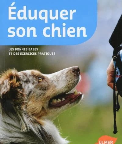 Éduquer son chien : les bonnes bases et des exercices pratiques