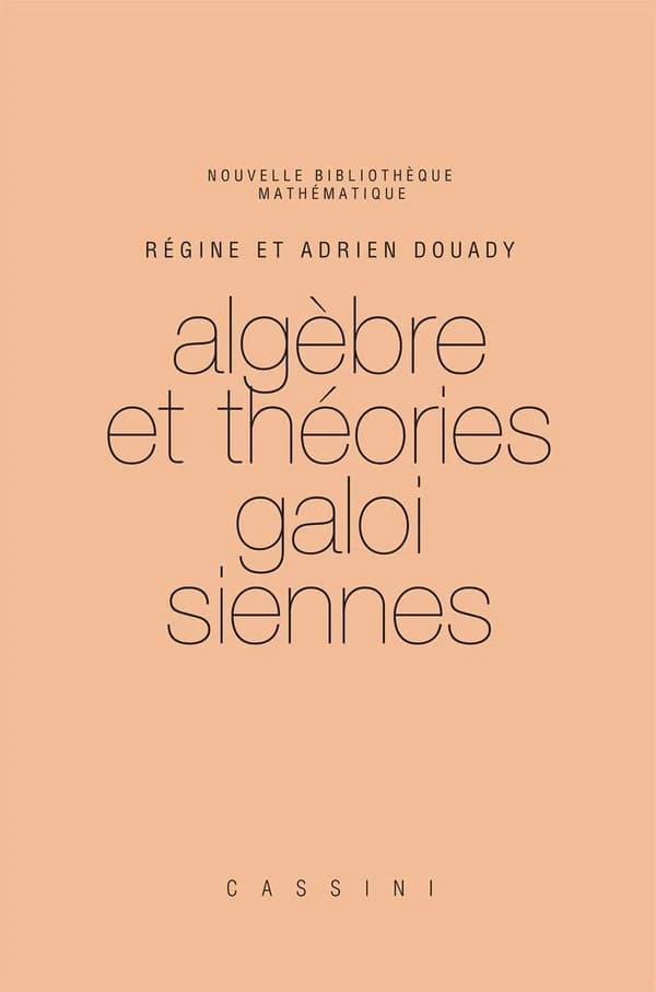 Algèbre et théories galoisiennes