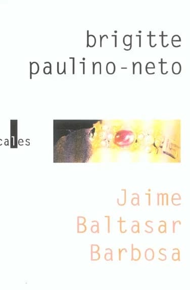 Jaime Baltasar Barbosa : roman