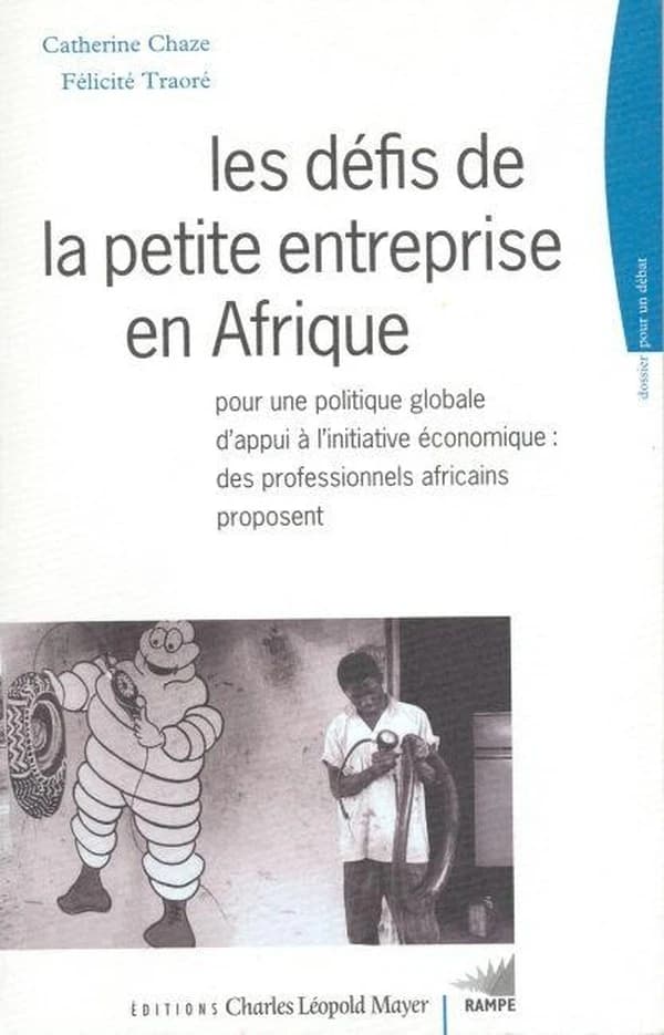 Les défis de la petite entreprise en Afrique : pour une politique globale d'appui à l'initiative économique : des professionnels africains proposent
