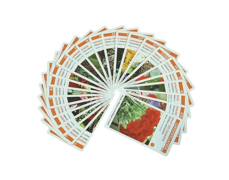 Planti'cartes ; jeu de 62 cartes