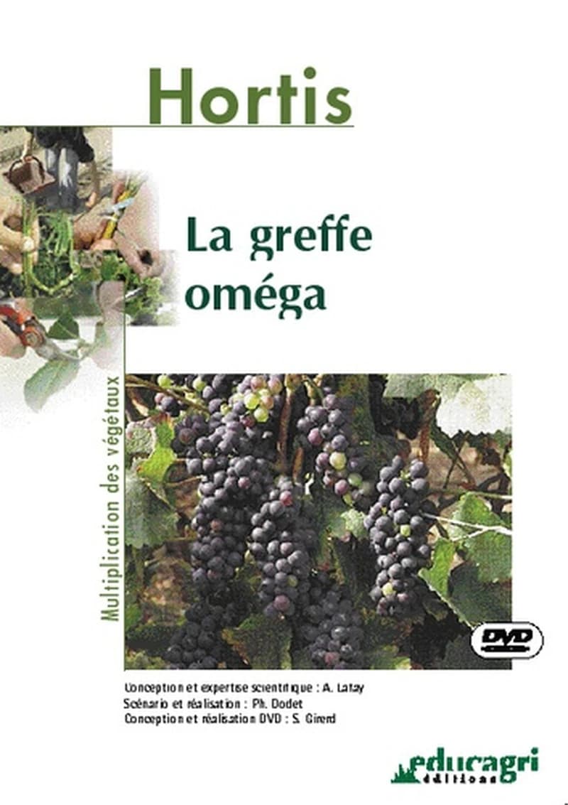 La greffe omega