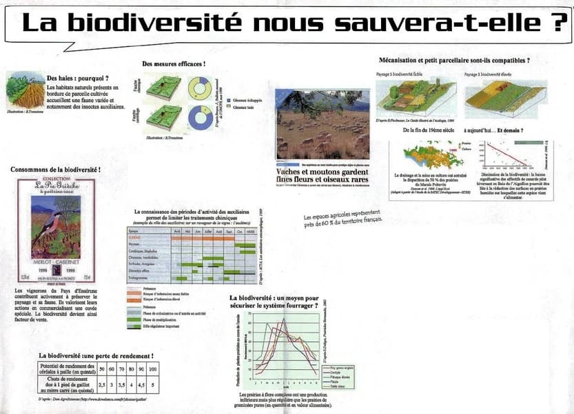 La biodiversité nous sauvera-t-elle ?