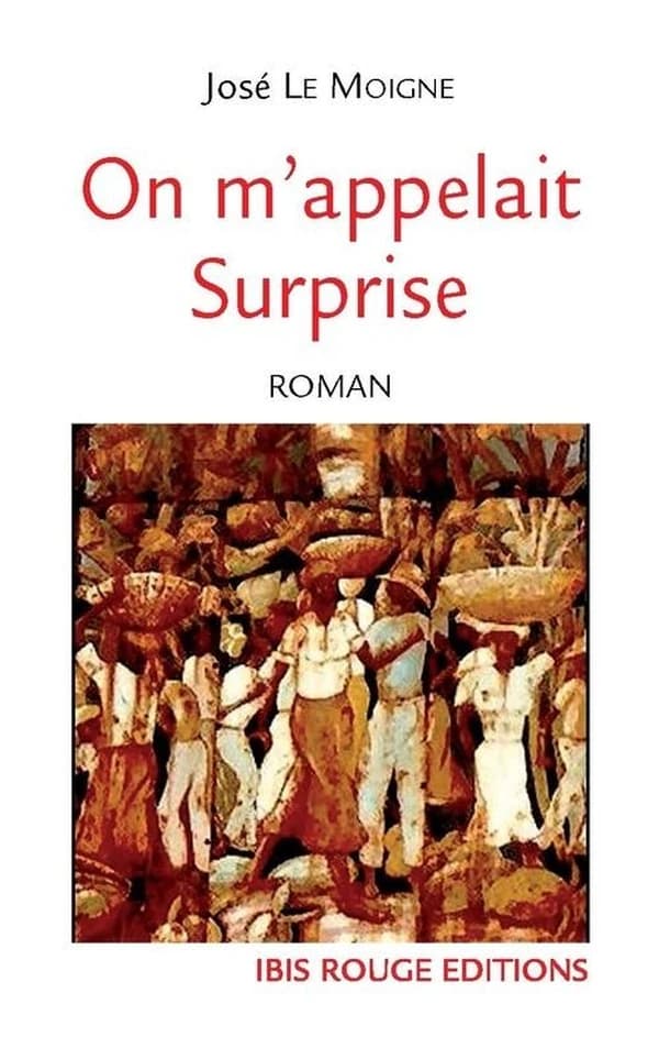On m'appelait Surprise : roman