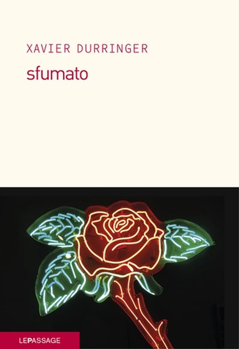 Sfumato : roman