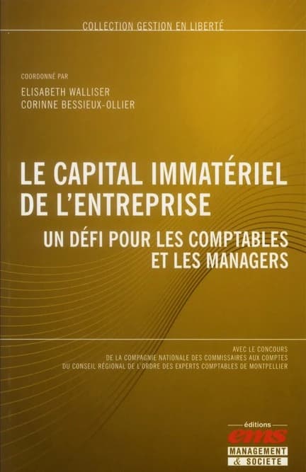 Le capital immatériel de l'entreprise : un défi pour les comptables et les managers