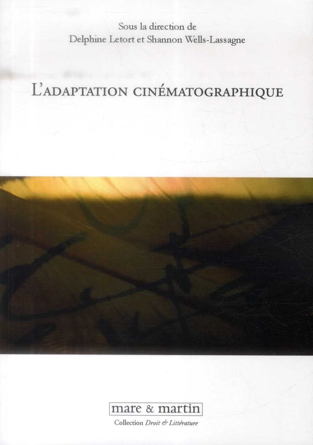 L'adaptation cinématographique : premières pages, premiers plans