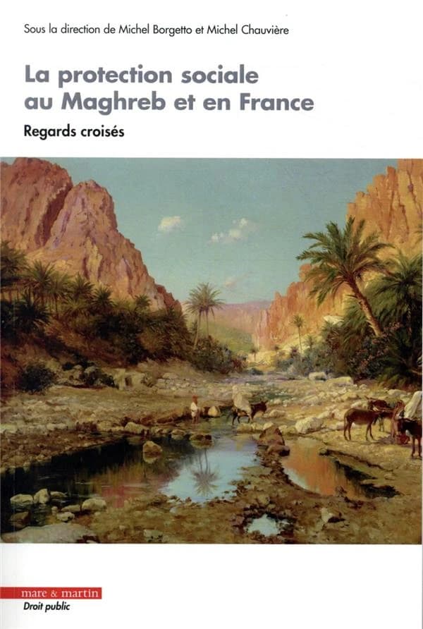 La protection sociale au Maghreb et en France : regards croisés