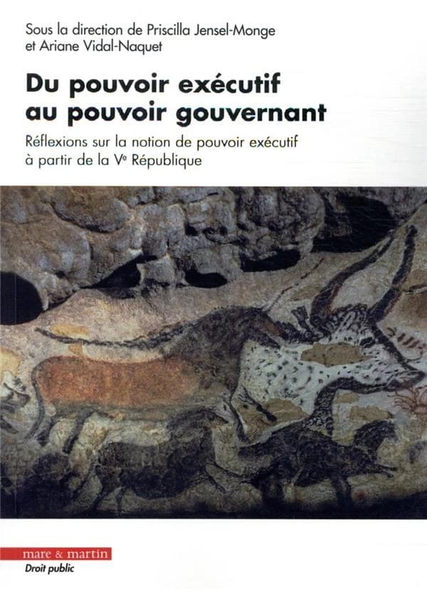 Du pouvoir exécutif au pouvoir gouvernant : réflexions sur la notion de pouvoir exécutif à partir de la Ve République