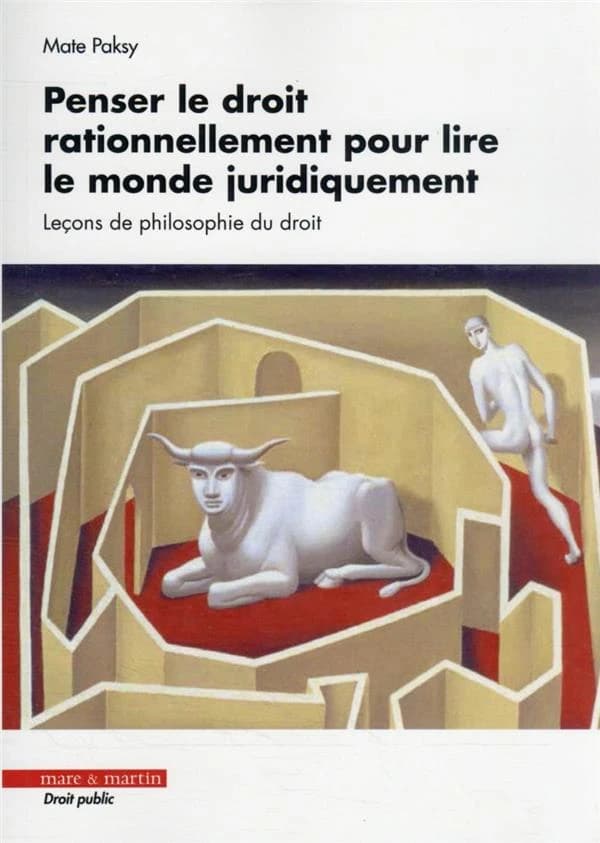 Penser le droit rationnellement pour lire le monde juridiquement : leçons de philosophie du droit