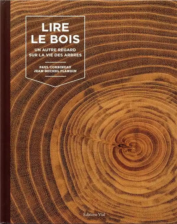 Lire le bois : un autre regard sur la vie des arbres