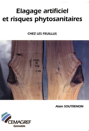 Élagage artificiel et risques phytosanitaires chez les feuillus