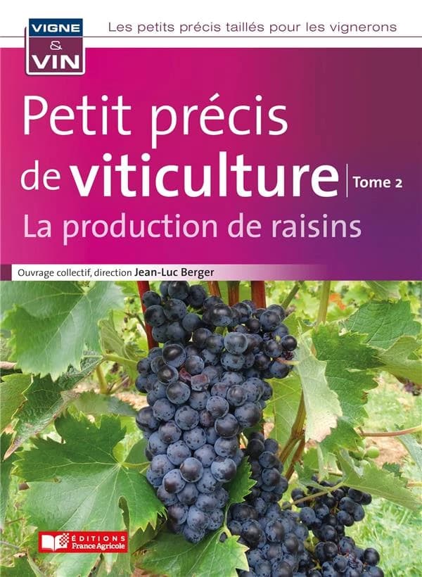 Petit précis de viticulture : la production de raisins