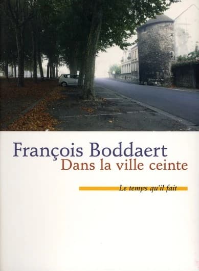 Dans la ville ceinte : roman