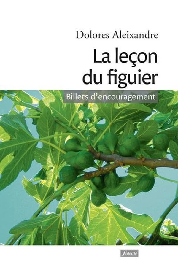 La leçon du figuier : billets d'encouragement avec humour
