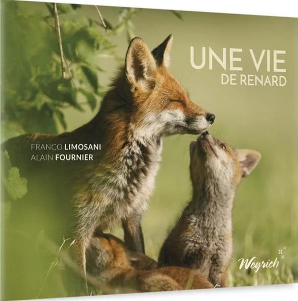 UNE VIE DE RENARD