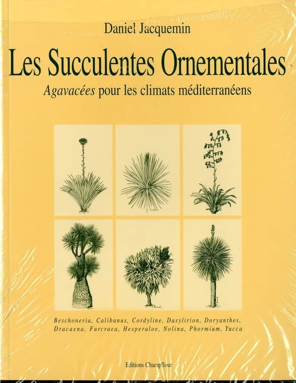Succulentes ornementales : Agavacées pour les climats méditerranéens