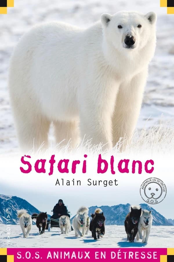 Safari blanc