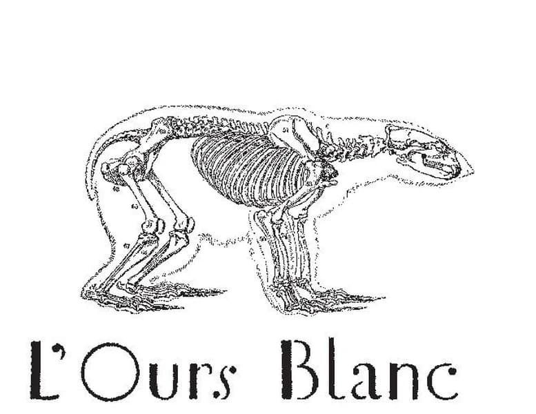 Voix de velours