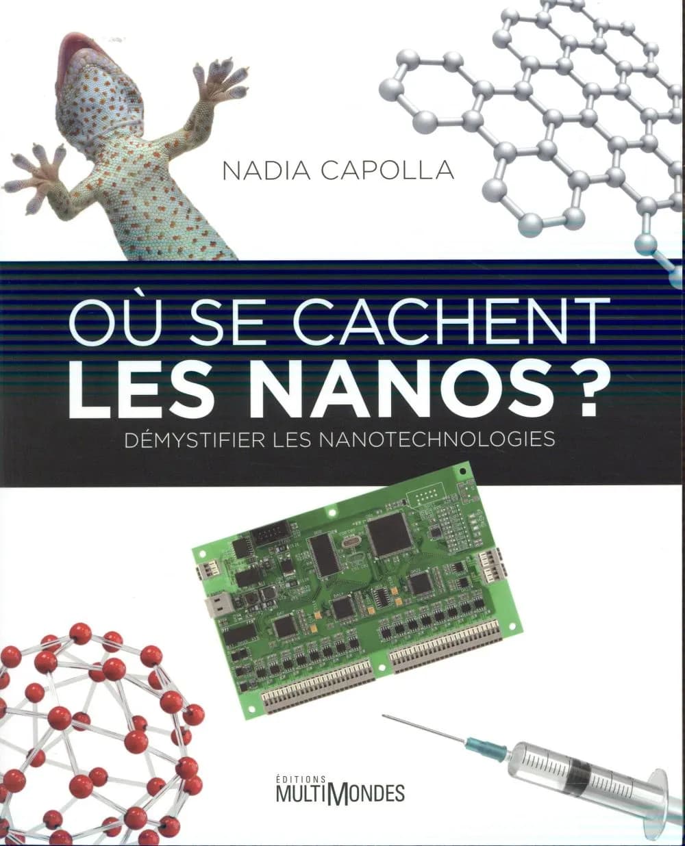 Où Se Cachent les Nanos? : Démystifier les Nanotechnologies