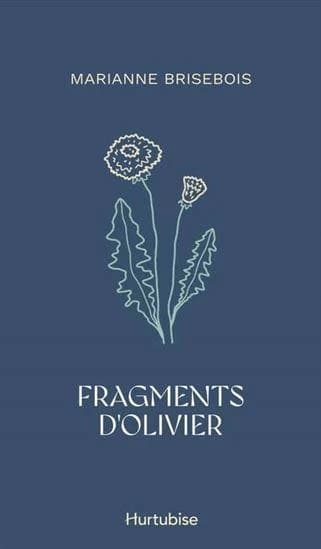 Fragments d'olivier