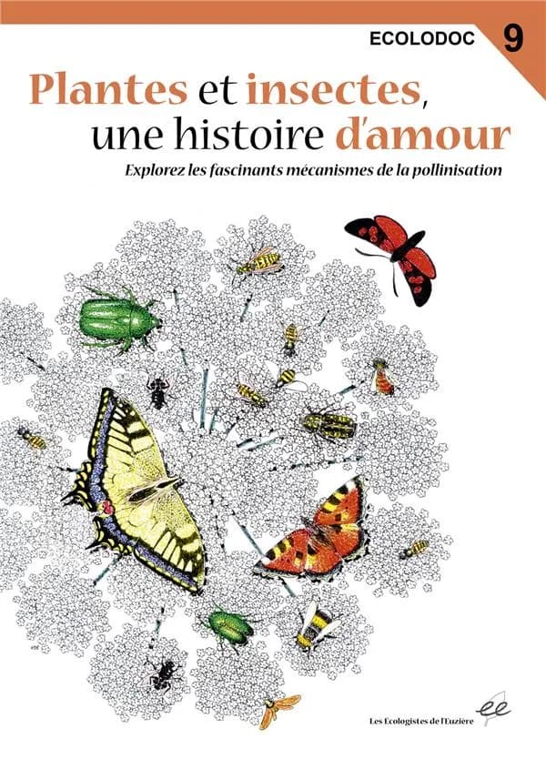 Plantes et insectes, une histoire d'amour : Explorez les fascinants mécanismes de la pollinisation