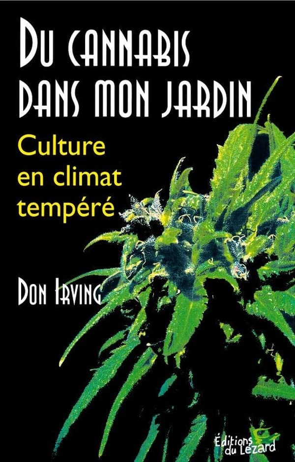 Du cannabis dans mon jardin : culture en climat tempéré