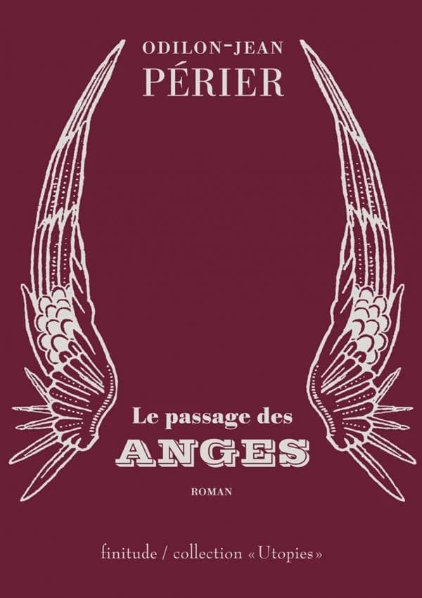 Le passage des anges : roman