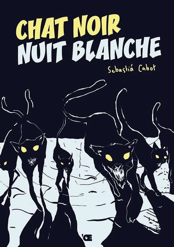 Chat noir nuit blanche