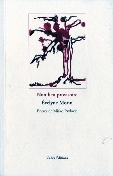 Non lieu provisoire