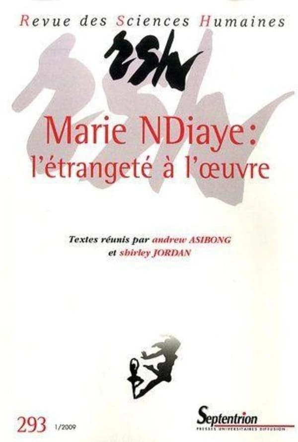 Marie N'Diaye : l'étrangeté de l'oeuvre