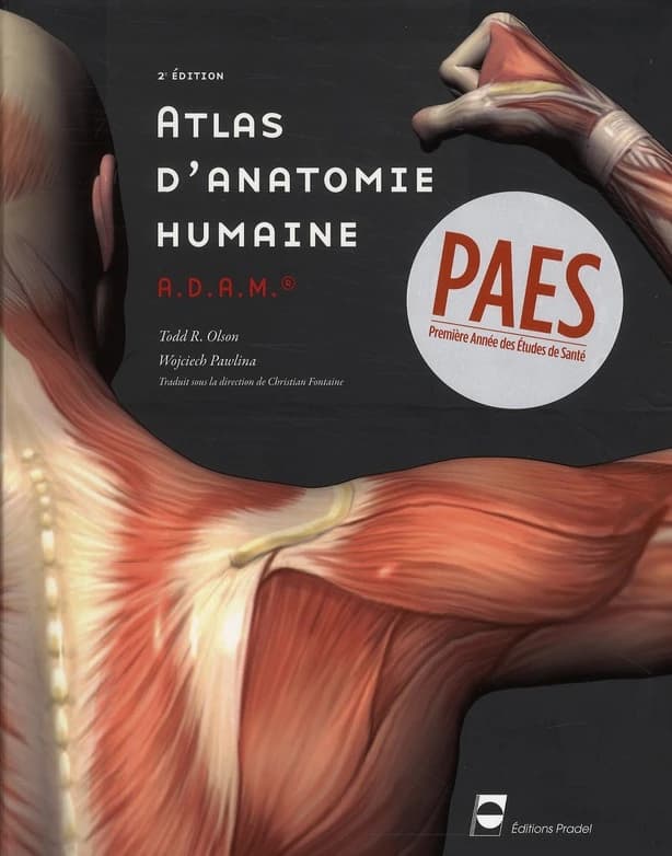 Atlas d'anatomie humaine ADAM (2e éd.) Todd R. Olson,... Wojciech Pawlina,... ; traduction, Michelle Pradel,...