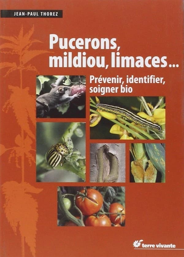 Pucerons, mildiou, limaces : prévenir, identifier, soigner bio