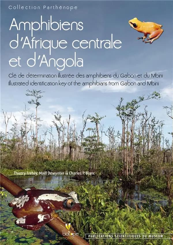 Amphibiens d'Afrique centrale et d'Angola : clé de détermination illustrée des amphibiens du Gabon et du Mbini
