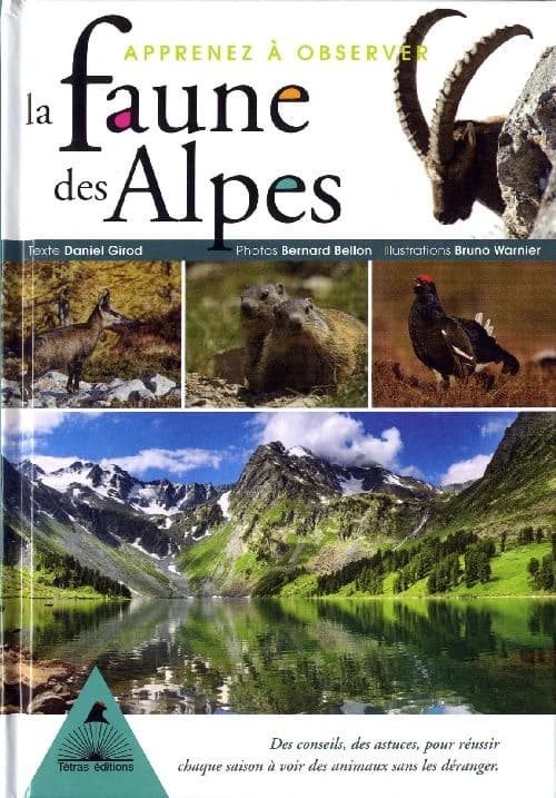 Apprenez à observer la faune des Alpes : des conseils, des astuces, pour réussir chaque saison à voir des animaux sans les déranger