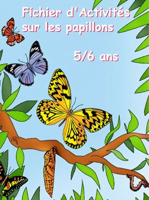 Fichier d'activité sur les papillons 5
