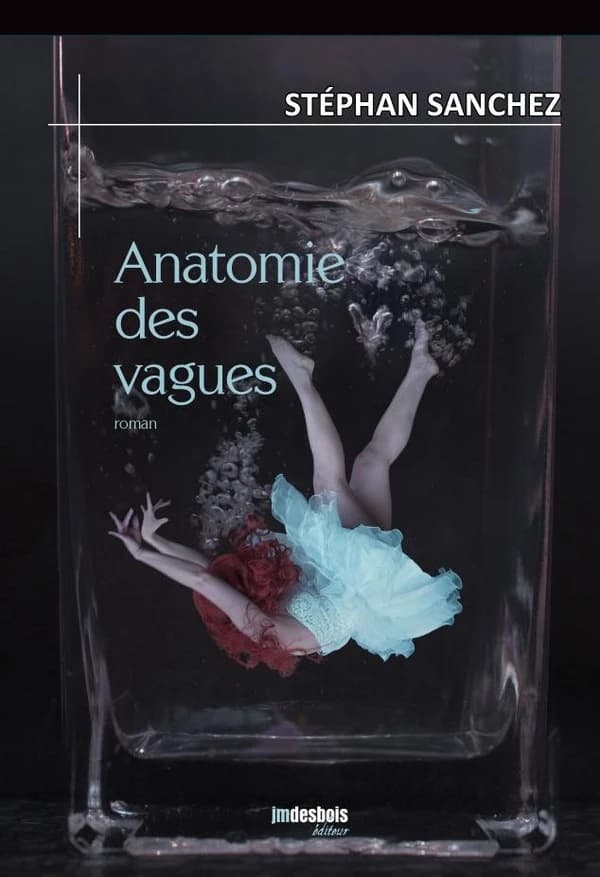 Anatomie des vagues : roman