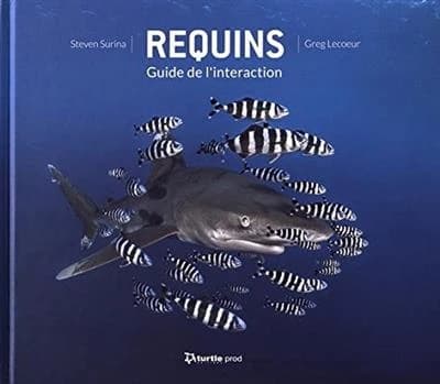 Requins : guide de l'interaction