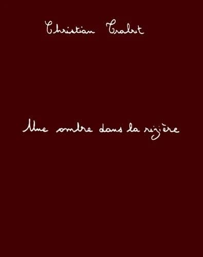Une ombre dans la rizière