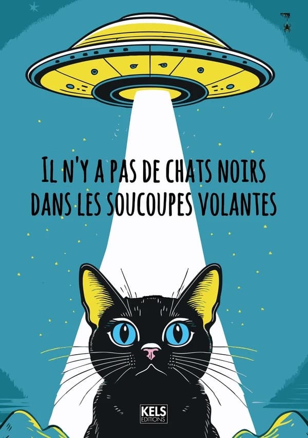 Il n'y a pas de chats noirs dans les soucoupes volantes : recueil de nouvelles autobiographiques