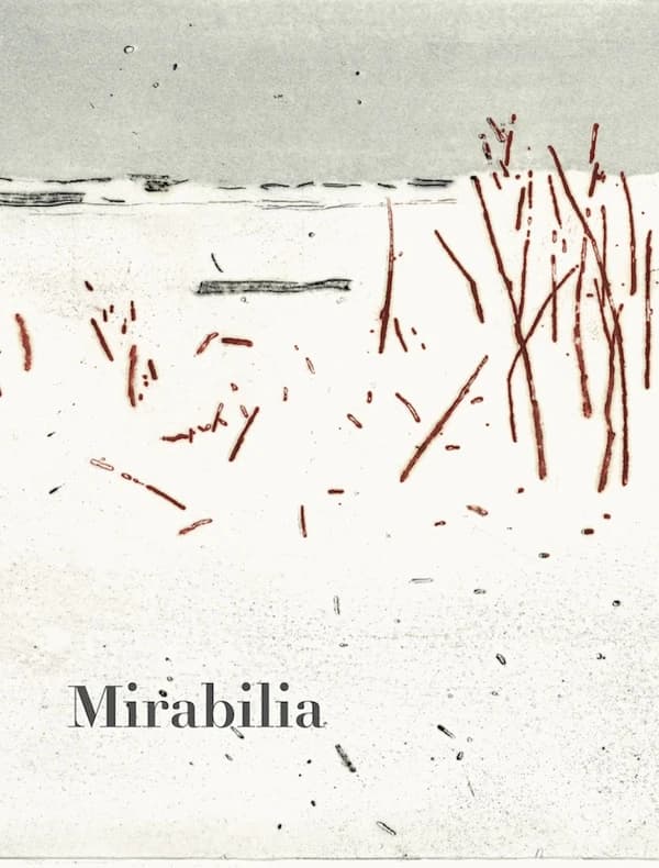 Mirabilia n.17 : la patience