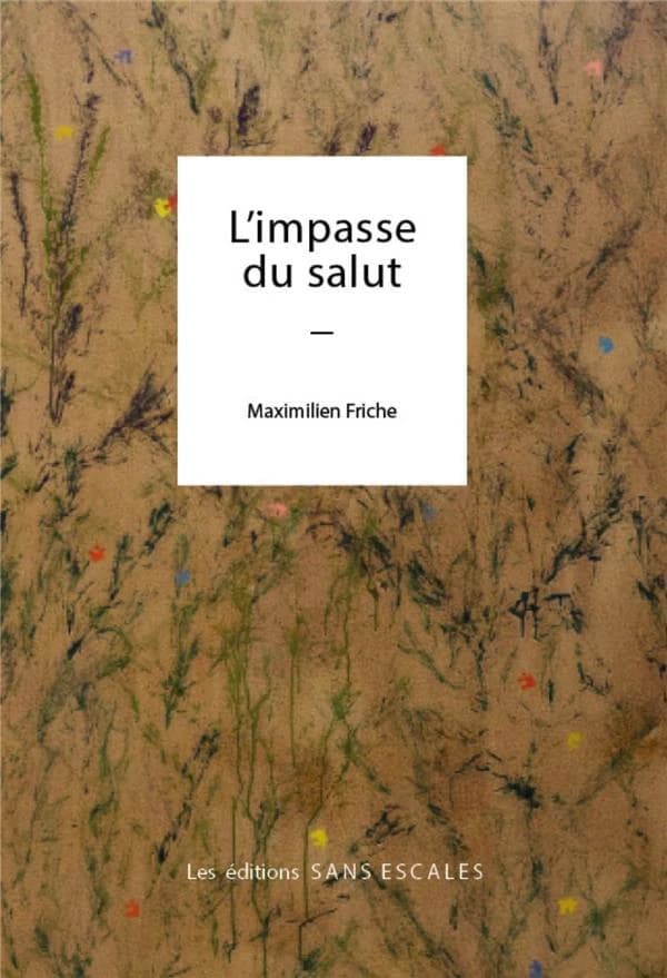 L'impasse du salut : roman