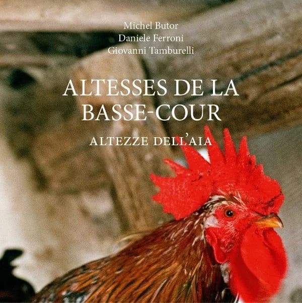 Altesses de la basse-cour ; altezze dell'aia