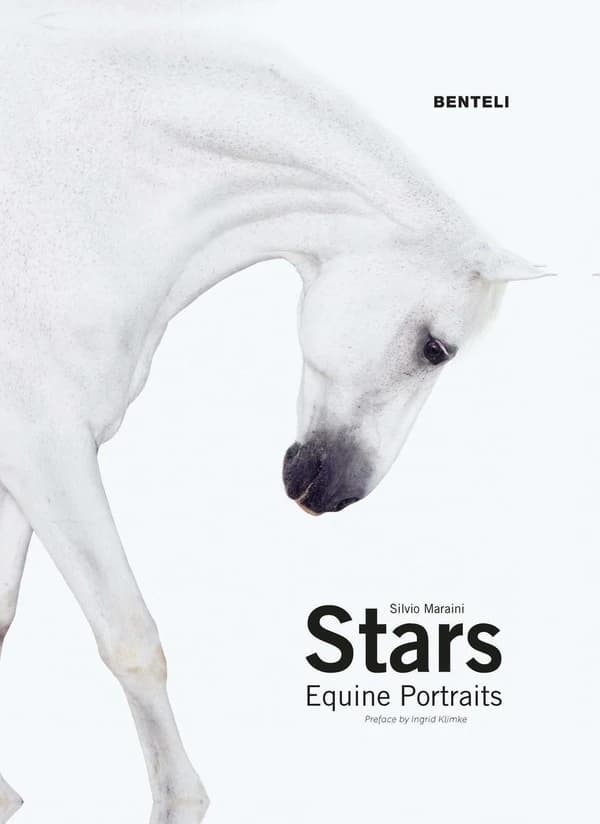 Stars : Equine Portraits