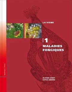 Maladies fongiques