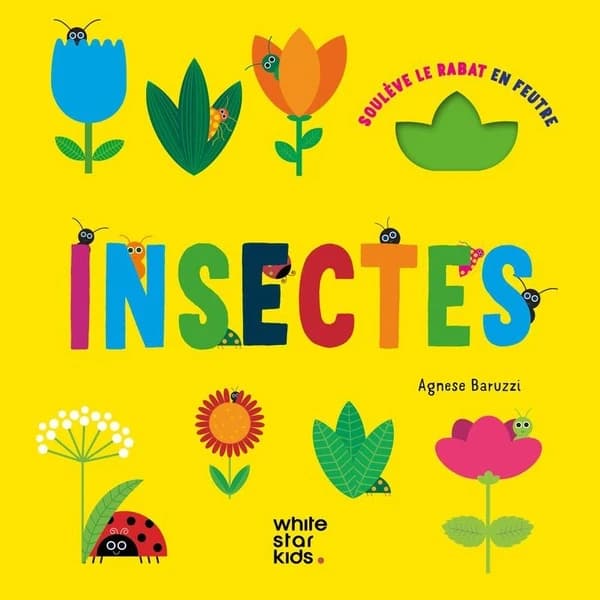 Soulève le rabat en feutré : Insectes