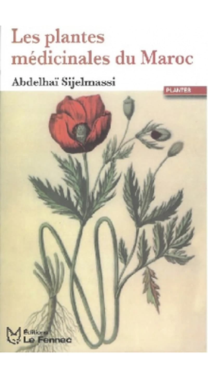 Les plantes médicinales du Maroc