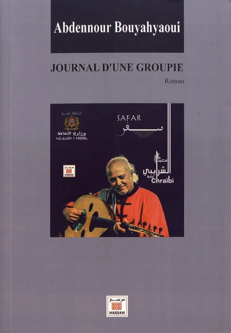Le journal d'une groupie